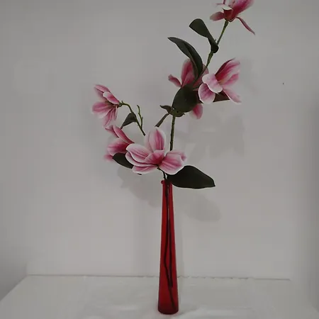 La Primavera דירה פיזה